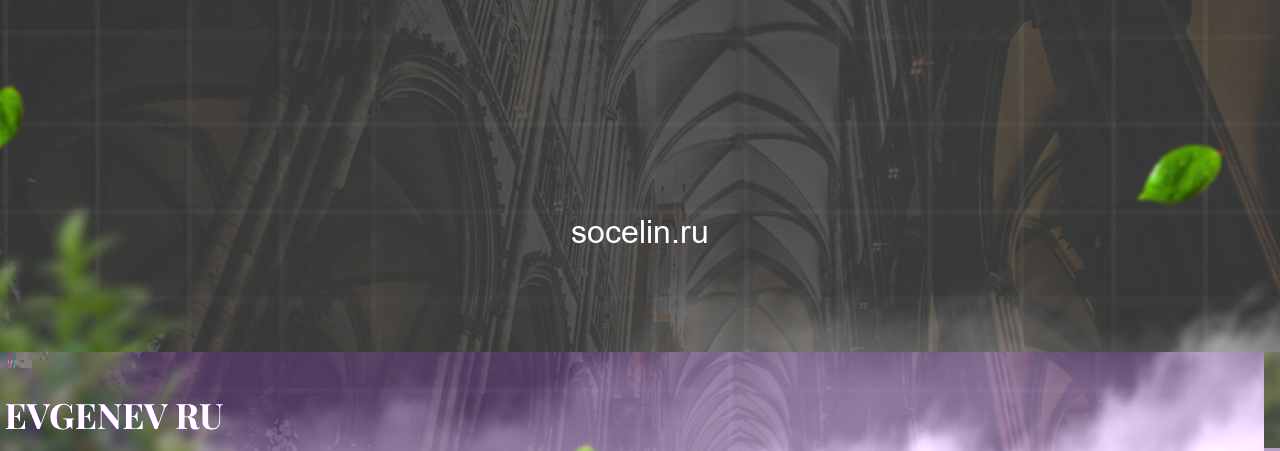 socelin.ru - узнайте о накрутке соц сетей на сайте Evgenev.RU