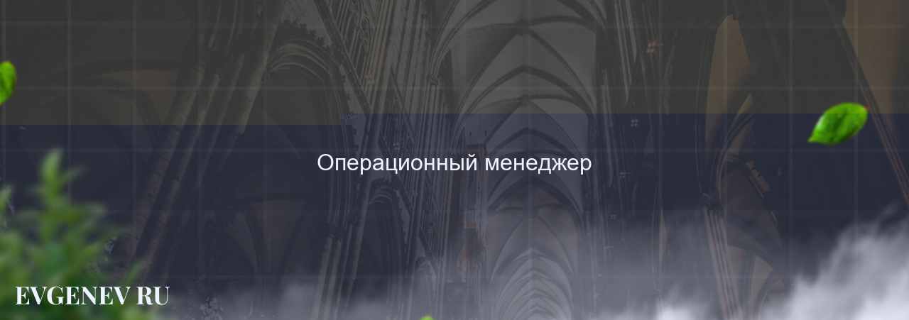 Операционный менеджер - узнайте о профессии на сайте Evgenev.RU