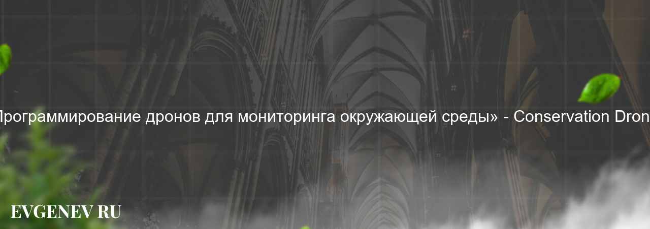 «Программирование дронов для мониторинга окружающей среды» - Conservation Drones на сайте Evgenev.RU