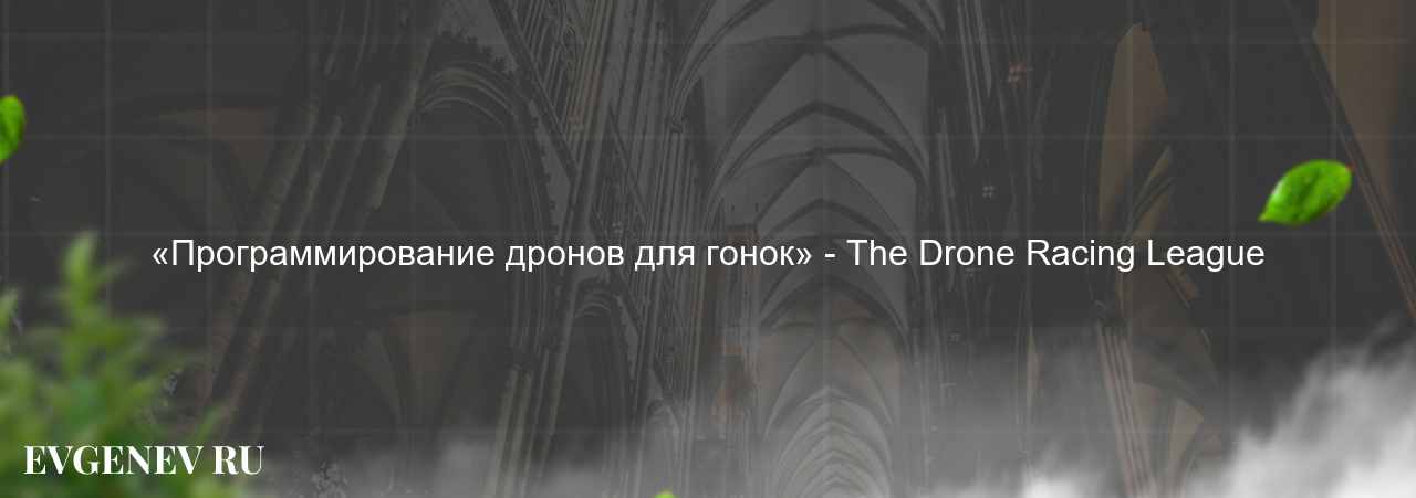 «Программирование дронов для гонок» - The Drone Racing League на сайте Evgenev.RU