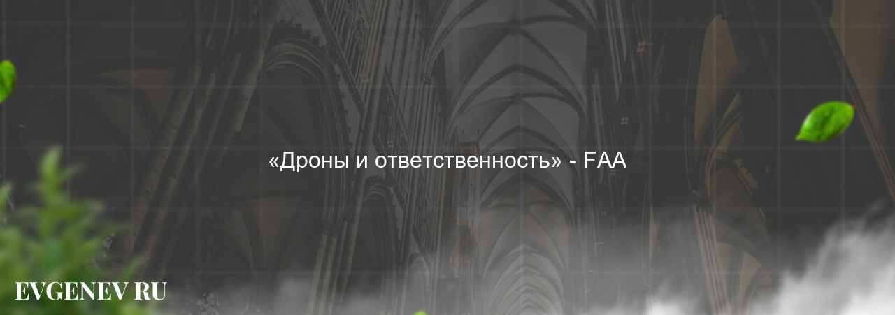 «Дроны и ответственность» - FAA на сайте Evgenev.RU