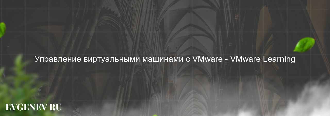 Управление виртуальными машинами с VMware - VMware Learning на сайте Evgenev.RU