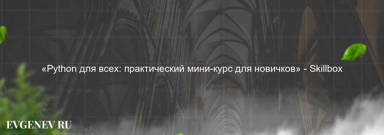 «Python для всех: практический мини-курс для новичков» - Skillbox на сайте Evgenev.RU