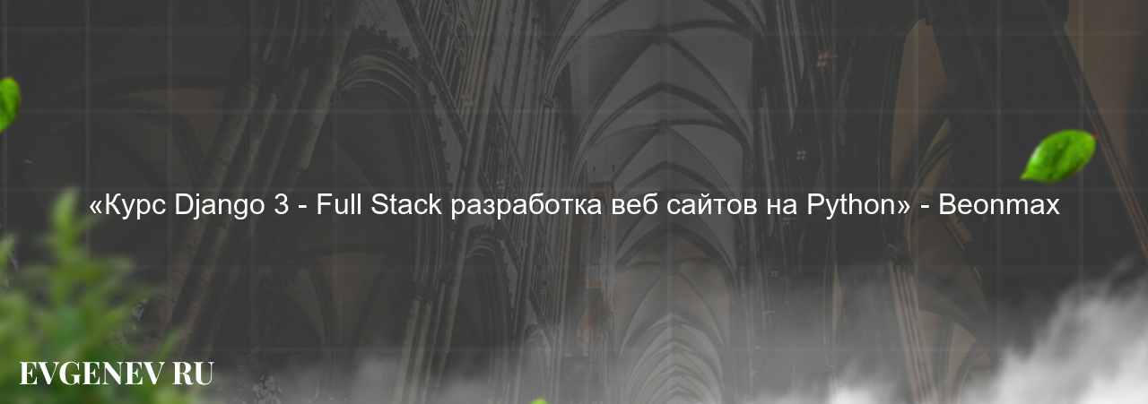 «Курс Django 3 - Full Stack разработка веб сайтов на Python» - Beonmax на сайте Evgenev.RU