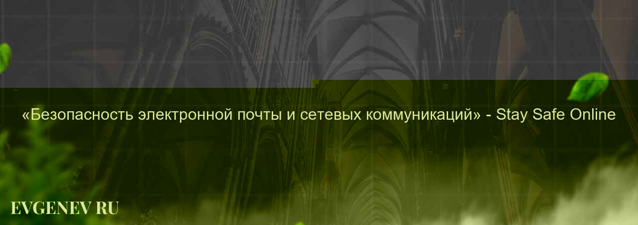 «Безопасность электронной почты и сетевых коммуникаций» - Stay Safe Online на сайте Evgenev.RU