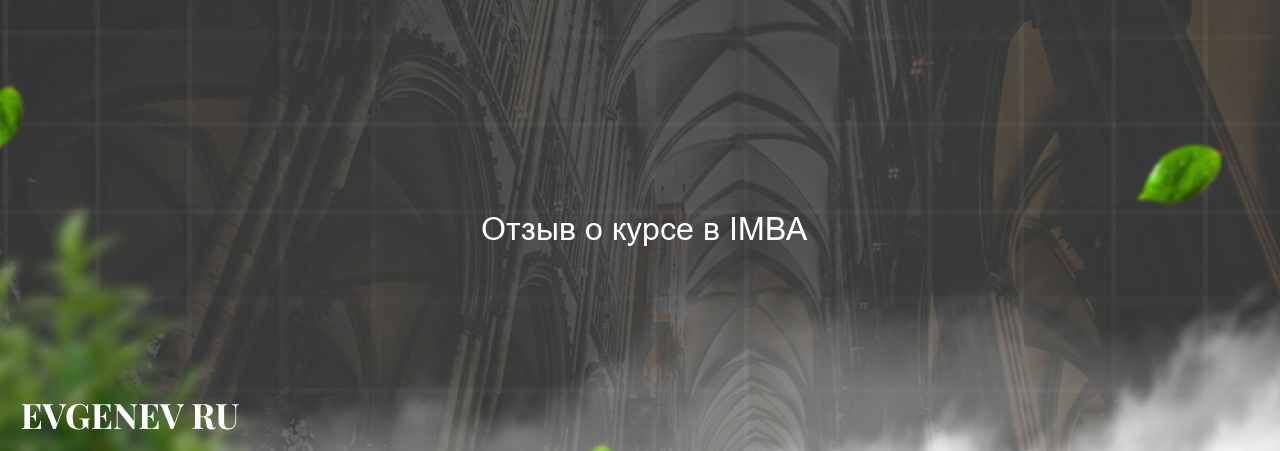  Отзыв о курсе в IMBA на сайте Evgenev.RU